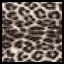 Leopard Pattern